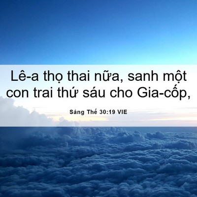 Picture 06 - Sáng Thế 30:19 VIE - Lê-a thọ thai nữa, sanh một con trai thứ - Bible Verse Picture