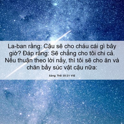 Picture 06 - Sáng Thế 30:31 VIE - La-ban rằng: Cậu sẽ cho cháu cái gì bây - Bible Verse Picture