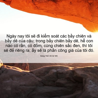 Picture 06 - Sáng Thế 30:32 VIE - Ngày nay tôi sẽ đi kiểm soát các bầy - Bible Verse Picture