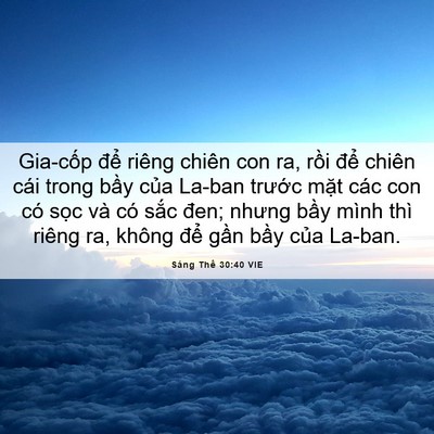 Picture 06 - Sáng Thế 30:40 VIE - Gia-cốp để riêng chiên con ra, rồi để - Bible Verse Picture