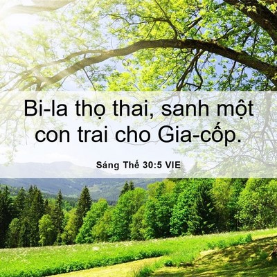 Picture 06 - Sáng Thế 30:5 VIE - Bi-la thọ thai, sanh một con trai cho - Bible Verse Picture