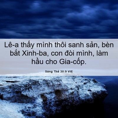 Picture 06 - Sáng Thế 30:9 VIE - Lê-a thấy mình thôi sanh sản, bèn bắt - Bible Verse Picture