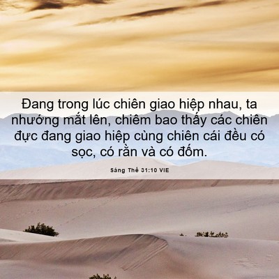 Picture 06 - Sáng Thế 31:10 VIE - Đang trong lúc chiên giao hiệp nhau, ta - Bible Verse Picture
