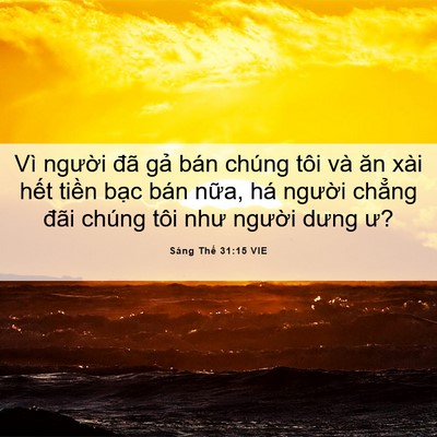Picture 06 - Sáng Thế 31:15 VIE - Vì người đã gả bán chúng tôi và ăn - Bible Verse Picture