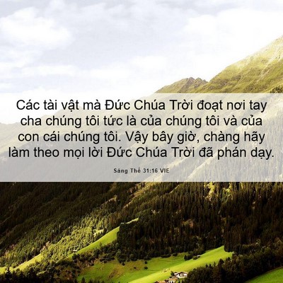 Picture 06 - Sáng Thế 31:16 VIE - Các tài vật mà Đức Chúa Trời đoạt - Bible Verse Picture