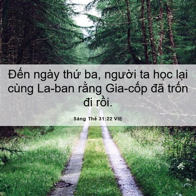 Picture 06 - Sáng Thế 31:22 VIE - Đến ngày thứ ba, người ta học lại - Bible Verse Picture