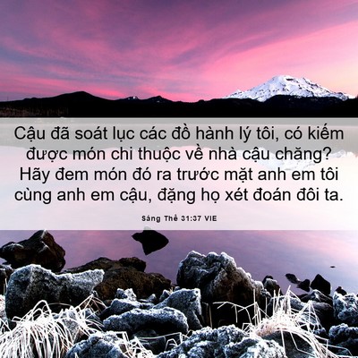 Picture 06 - Sáng Thế 31:37 VIE - Cậu đã soát lục các đồ hành lý tôi, - Bible Verse Picture