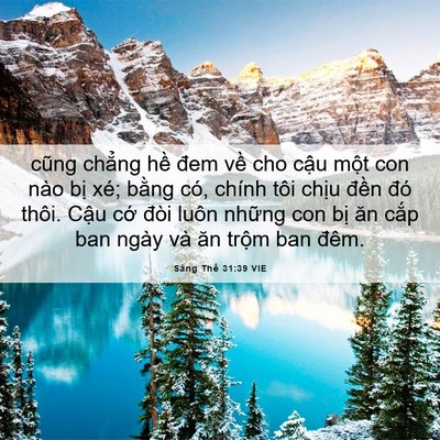 Picture 06 - Sáng Thế 31:39 VIE - cũng chẳng hề đem về cho cậu một con - Bible Verse Picture