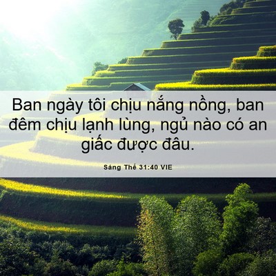 Picture 06 - Sáng Thế 31:40 VIE - Ban ngày tôi chịu nắng nồng, ban đêm - Bible Verse Picture
