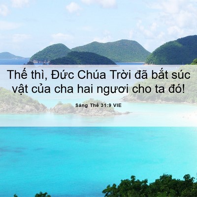 Picture 06 - Sáng Thế 31:9 VIE - Thế thì, Đức Chúa Trời đã bắt súc - Bible Verse Picture