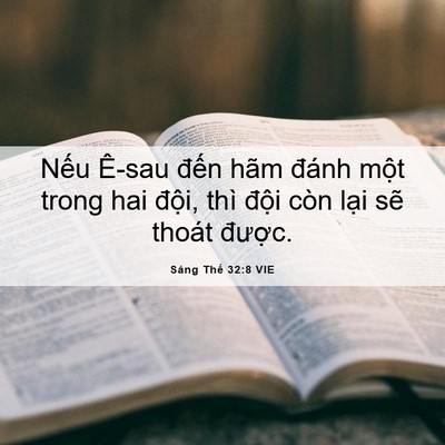 Picture 06 - Sáng Thế 32:8 VIE - Nếu Ê-sau đến hãm đánh một trong hai - Bible Verse Picture