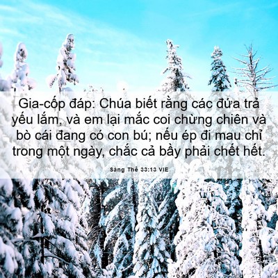 Picture 06 - Sáng Thế 33:13 VIE - Gia-cốp đáp: Chúa biết rằng các đứa - Bible Verse Picture