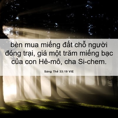 Picture 06 - Sáng Thế 33:19 VIE - bèn mua miếng đất chỗ người đóng - Bible Verse Picture