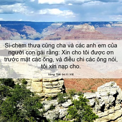 Picture 06 - Sáng Thế 34:11 VIE - Si-chem thưa cùng cha và các anh em của - Bible Verse Picture