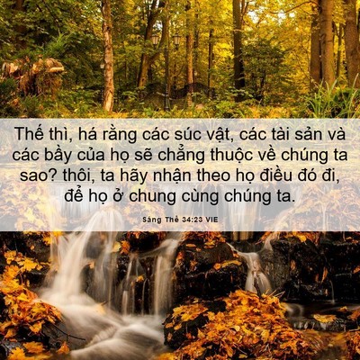 Picture 06 - Sáng Thế 34:23 VIE - Thế thì, há rằng các súc vật, các tài - Bible Verse Picture