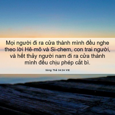 Picture 06 - Sáng Thế 34:24 VIE - Mọi người đi ra cửa thành mình đều - Bible Verse Picture