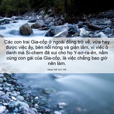 Picture 06 - Sáng Thế 34:7 VIE - Các con trai Gia-cốp ở ngoài đồng trở - Bible Verse Picture