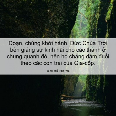 Picture 06 - Sáng Thế 35:5 VIE - Đoạn, chúng khởi hành. Đức Chúa Trời - Bible Verse Picture