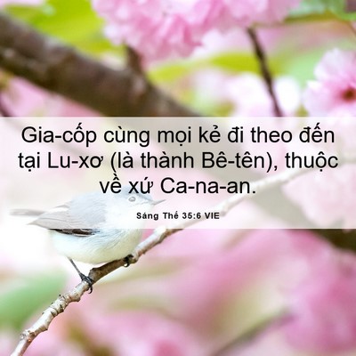 Picture 06 - Sáng Thế 35:6 VIE - Gia-cốp cùng mọi kẻ đi theo đến tại - Bible Verse Picture
