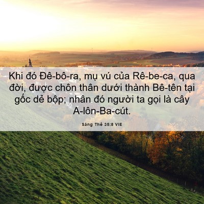 Picture 06 - Sáng Thế 35:8 VIE - Khi đó Đê-bô-ra, mụ vú của Rê-be-ca, - Bible Verse Picture