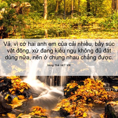 Picture 06 - Sáng Thế 36:7 VIE - Vả, vì cớ hai anh em của cải nhiều, - Bible Verse Picture