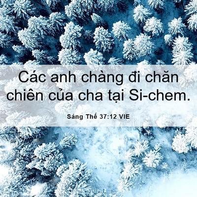 Picture 06 - Sáng Thế 37:12 VIE - Các anh chàng đi chăn chiên của cha tại - Bible Verse Picture
