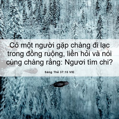 Picture 06 - Sáng Thế 37:15 VIE - Có một người gặp chàng đi lạc trong - Bible Verse Picture