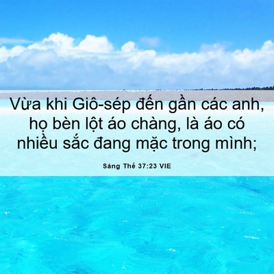 Picture 06 - Sáng Thế 37:23 VIE - Vừa khi Giô-sép đến gần các anh, họ - Bible Verse Picture
