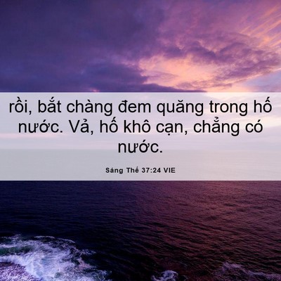Picture 06 - Sáng Thế 37:24 VIE - rồi, bắt chàng đem quăng trong hố - Bible Verse Picture