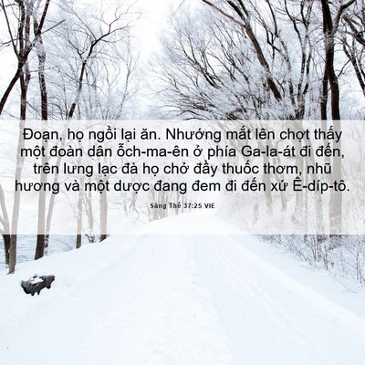 Picture 06 - Sáng Thế 37:25 VIE - Đoạn, họ ngồi lại ăn. Nhướng mắt - Bible Verse Picture