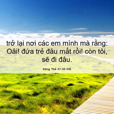 Picture 06 - Sáng Thế 37:30 VIE - trở lại nơi các em mình mà rằng: Oâi! - Bible Verse Picture
