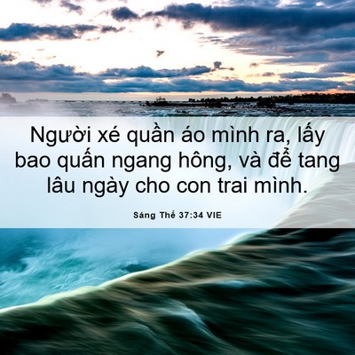 Picture 06 - Sáng Thế 37:34 VIE - Người xé quần áo mình ra, lấy bao - Bible Verse Picture