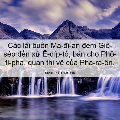 Picture 06 - Sáng Thế 37:36 VIE - Các lái buôn Ma-đi-an đem Giô-sép đến - Bible Verse Picture