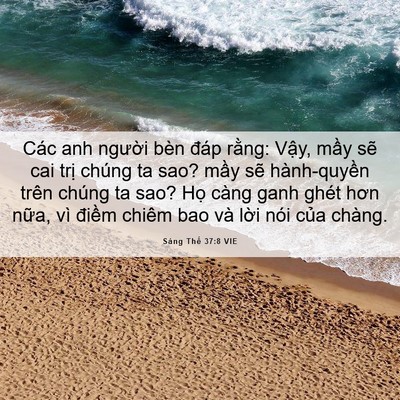Picture 06 - Sáng Thế 37:8 VIE - Các anh người bèn đáp rằng: Vậy, mầy - Bible Verse Picture