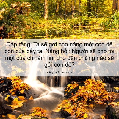 Picture 06 - Sáng Thế 38:17 VIE - Đáp rằng: Ta sẽ gởi cho nàng một con - Bible Verse Picture