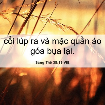 Picture 06 - Sáng Thế 38:19 VIE - cổi lúp ra và mặc quần áo góa bụa - Bible Verse Picture