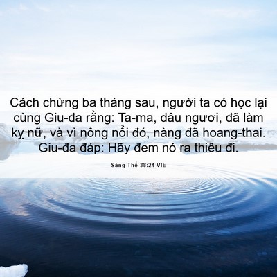 Picture 06 - Sáng Thế 38:24 VIE - Cách chừng ba tháng sau, người ta có - Bible Verse Picture