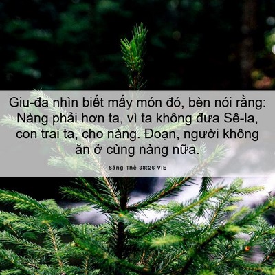 Picture 06 - Sáng Thế 38:26 VIE - Giu-đa nhìn biết mấy món đó, bèn nói - Bible Verse Picture