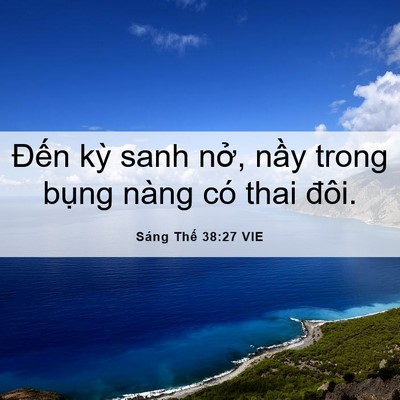 Picture 06 - Sáng Thế 38:27 VIE - Đến kỳ sanh nở, nầy trong bụng nàng - Bible Verse Picture