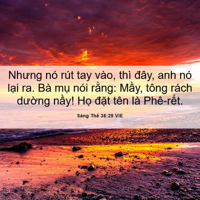 Picture 06 - Sáng Thế 38:29 VIE - Nhưng nó rút tay vào, thì đây, anh nó - Bible Verse Picture