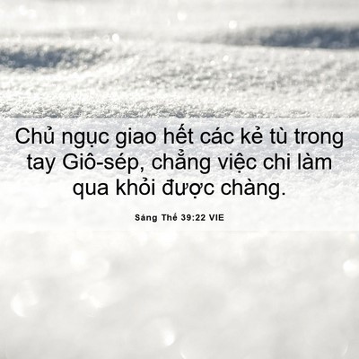 Picture 06 - Sáng Thế 39:22 VIE - Chủ ngục giao hết các kẻ tù trong tay - Bible Verse Picture