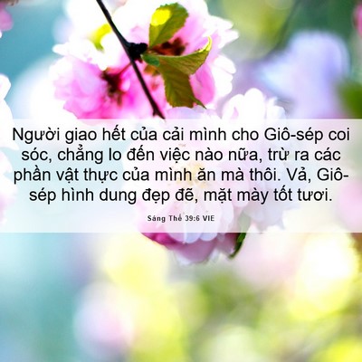 Picture 06 - Sáng Thế 39:6 VIE - Người giao hết của cải mình cho - Bible Verse Picture