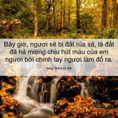 Picture 06 - Sáng Thế 4:11 VIE - Bây giờ, ngươi sẽ bị đất rủa sả, - Bible Verse Picture