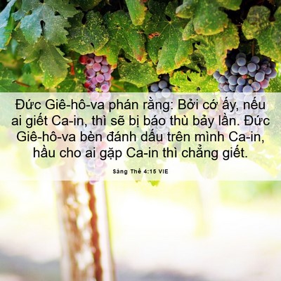 Picture 06 - Sáng Thế 4:15 VIE - Đức Giê-hô-va phán rằng: Bởi cớ ấy, - Bible Verse Picture