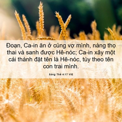 Picture 06 - Sáng Thế 4:17 VIE - Đoạn, Ca-in ăn ở cùng vợ mình, nàng - Bible Verse Picture