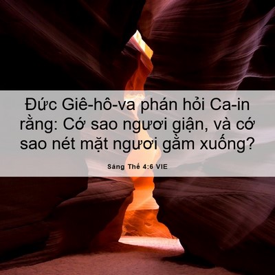 Picture 06 - Sáng Thế 4:6 VIE - Đức Giê-hô-va phán hỏi Ca-in rằng: Cớ - Bible Verse Picture
