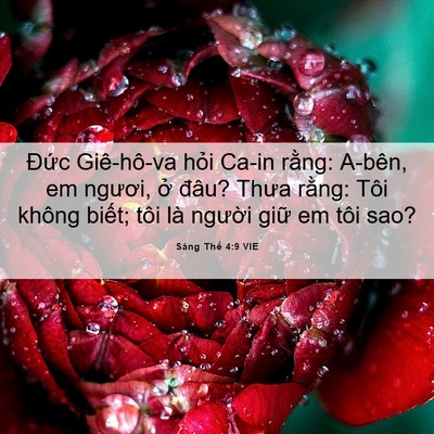 Picture 06 - Sáng Thế 4:9 VIE - Đức Giê-hô-va hỏi Ca-in rằng: A-bên, em - Bible Verse Picture