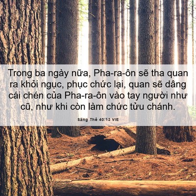 Picture 06 - Sáng Thế 40:13 VIE - Trong ba ngày nữa, Pha-ra-ôn sẽ tha quan ra - Bible Verse Picture
