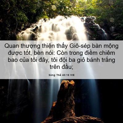 Picture 06 - Sáng Thế 40:16 VIE - Quan thượng thiện thấy Giô-sép bàn - Bible Verse Picture