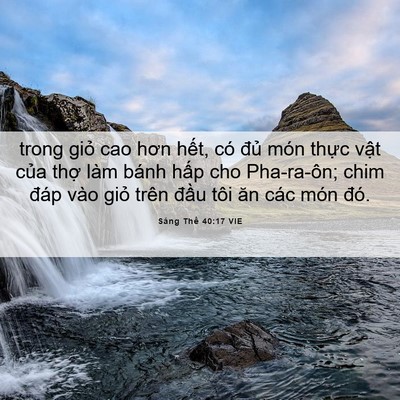 Picture 06 - Sáng Thế 40:17 VIE - trong giỏ cao hơn hết, có đủ món thực - Bible Verse Picture